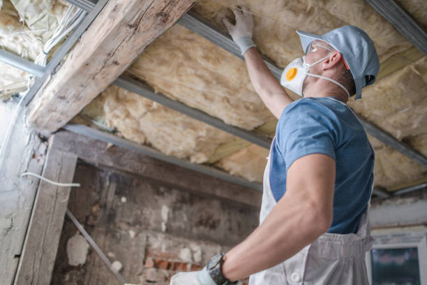Best Local Insulation Services  in Greenbrier, AR